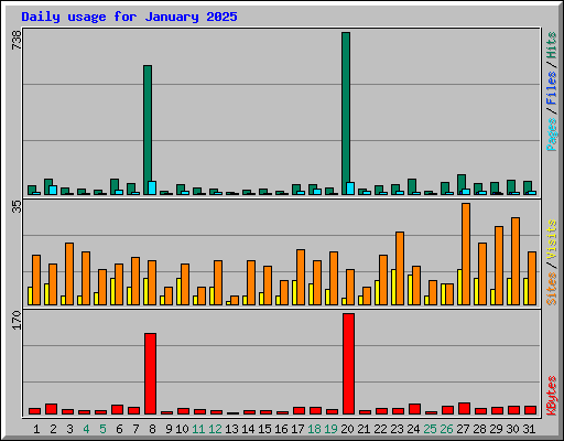 Daily usage for January 2025