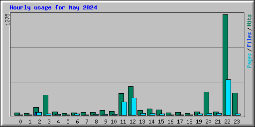 Hourly usage for May 2024