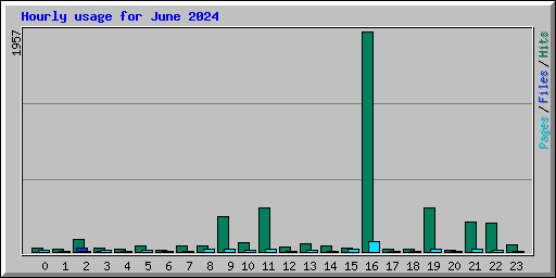Hourly usage for June 2024