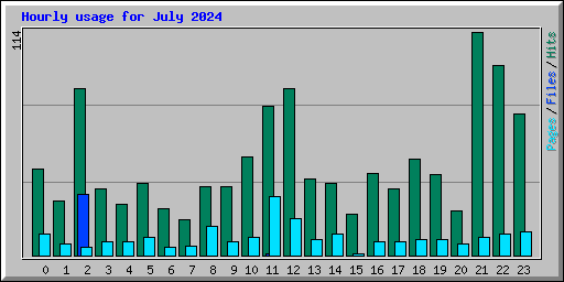 Hourly usage for July 2024