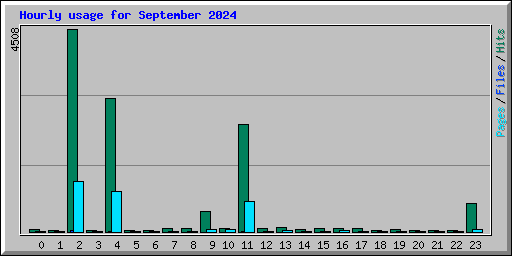 Hourly usage for September 2024