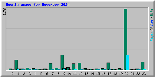 Hourly usage for November 2024