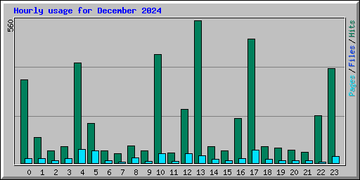 Hourly usage for December 2024