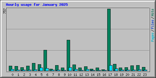 Hourly usage for January 2025
