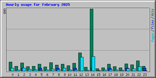 Hourly usage for February 2025